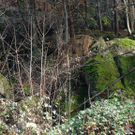 13112010felssaaktivnews007.jpg