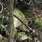 13112010felssaaktivnews008.jpg