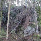 13112010felssaaktivnews010.jpg