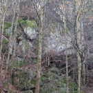 13112010felssaaktivnews011.jpg