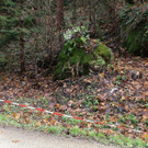 13112010felssaaktivnews012.jpg
