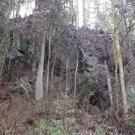 13112010felssaaktivnews014.jpg