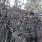 13112010felssaaktivnews015.jpg