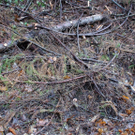 13112010felssaaktivnews018.jpg
