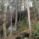 13112010felssaaktivnews023.jpg