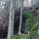 13112010felssaaktivnews024.jpg