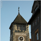 feldk  048.jpg