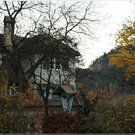 feldk  136.jpg