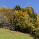 449_bearbeitet-1_jpg-1289720872
