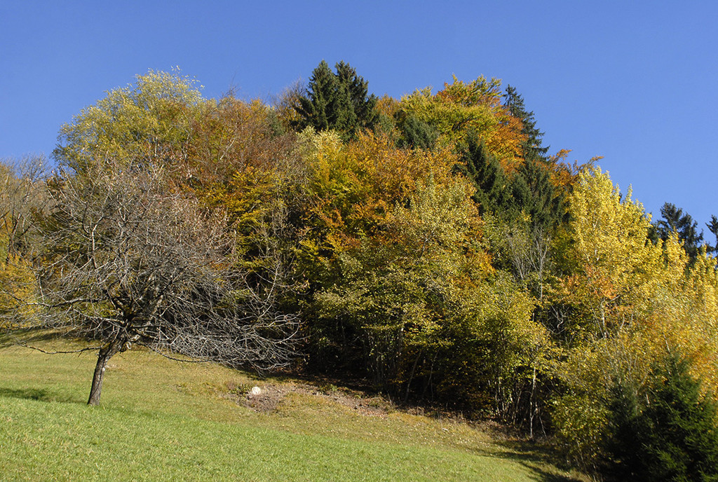 449_bearbeitet-1_jpg-1289720872