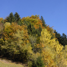 454_bearbeitet-1_jpg-1289720914