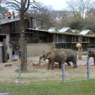  Brand im Karlsruher Zoo in Deutschland