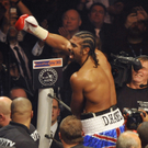 Box-Weltmeister Haye verteidigt Titel