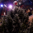 Weihnachtsbaum Lugner City