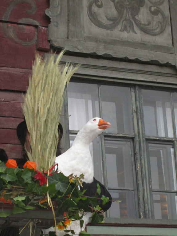 2010 11 12_0946.JPG