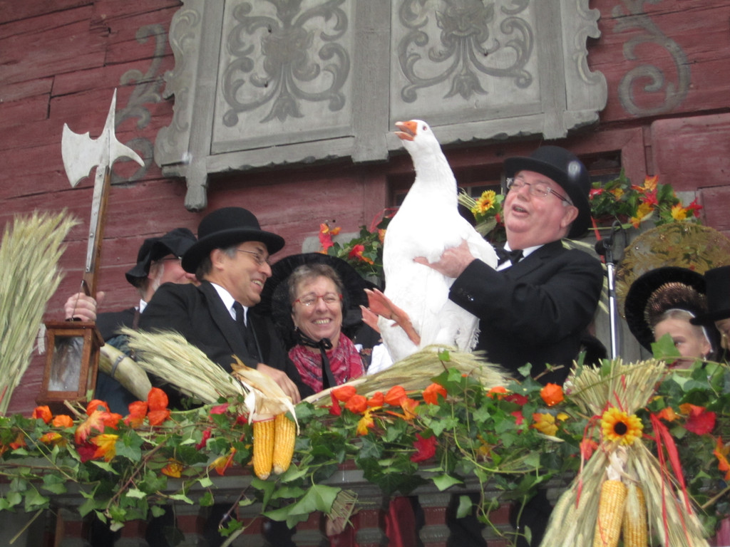 2010 11 12_0965.JPG