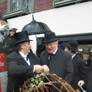 2010 11 12_0970.JPG