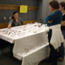 IMGP4516_JPG-1289759427