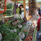 KOE_Fraschtner Markt 51_jpg-1289759755