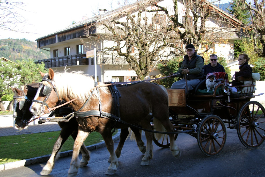 KOE_Fraschtner Markt 62_jpg-1289759845