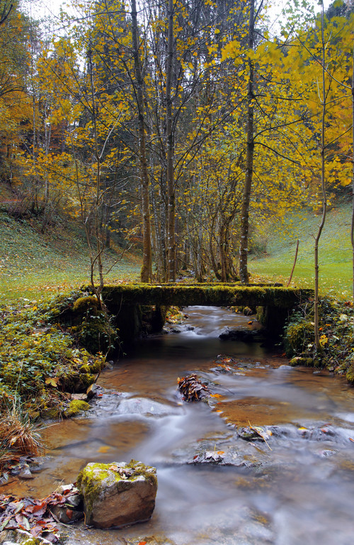 Bezeggbach 110_jpg-1289759708