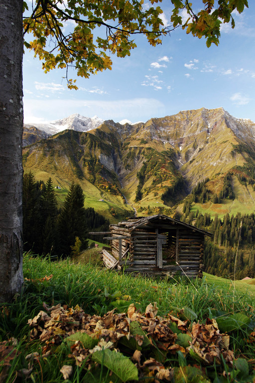 Herbstmotiv 2_jpg-1289760171