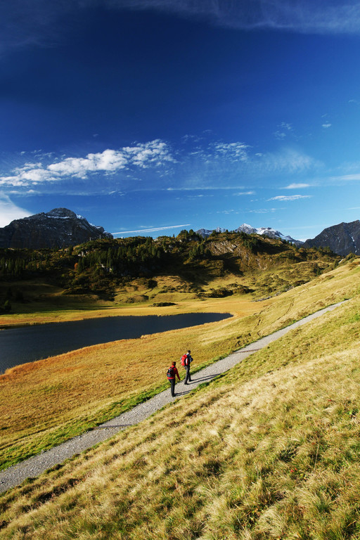 Herbstmotiv 3_jpg-1289760208