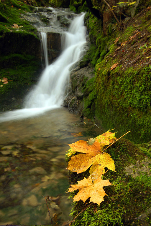 Herbstmotiv 6_jpg-1289760304