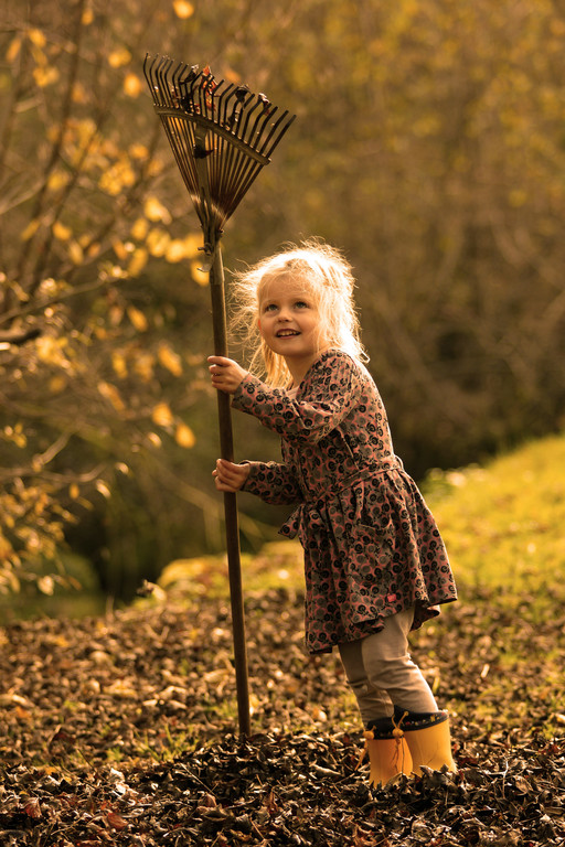 Herbstmotiv 8_jpg-1289760383