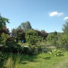 roethis6.jpg