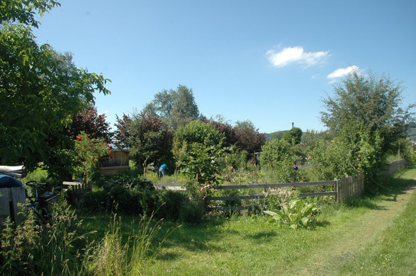 roethis6.jpg
