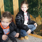 Landes-Kleintierausstellung