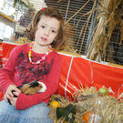 DSC03385.JPG