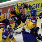 dc1-5rycbi3ys2e16zdor6su_original.jpg
