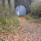 Tunnel 2_JPG-1289804681