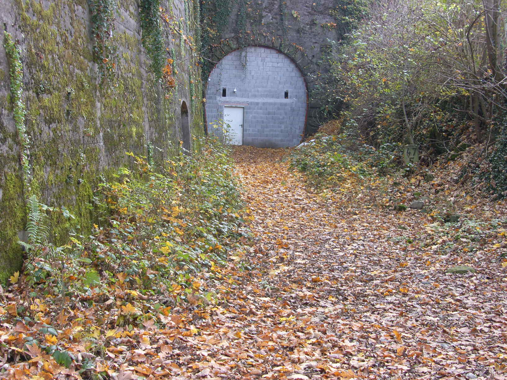 Tunnel 2_JPG-1289804681