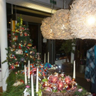 P1040378_JPG-1289809798