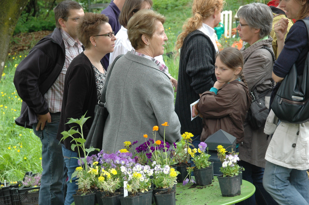 DSC_0250_JPG-1289810651