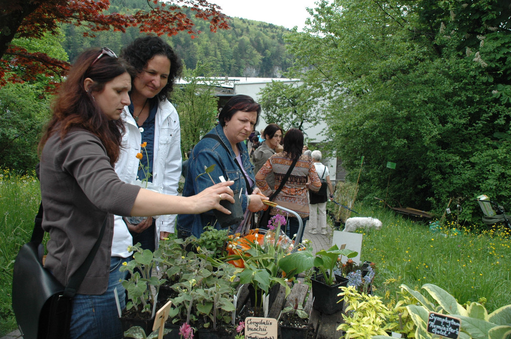 DSC_0240_JPG-1289810682