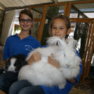 DSC03383.JPG
