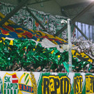 th-00082027.jpg
