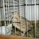 DSC03426.JPG
