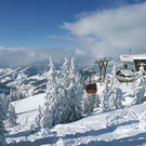 winter_1.jpg