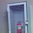safety-first26.jpg