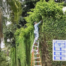 safety-first76.jpg