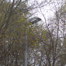 November 4 050_jpg-1289831272