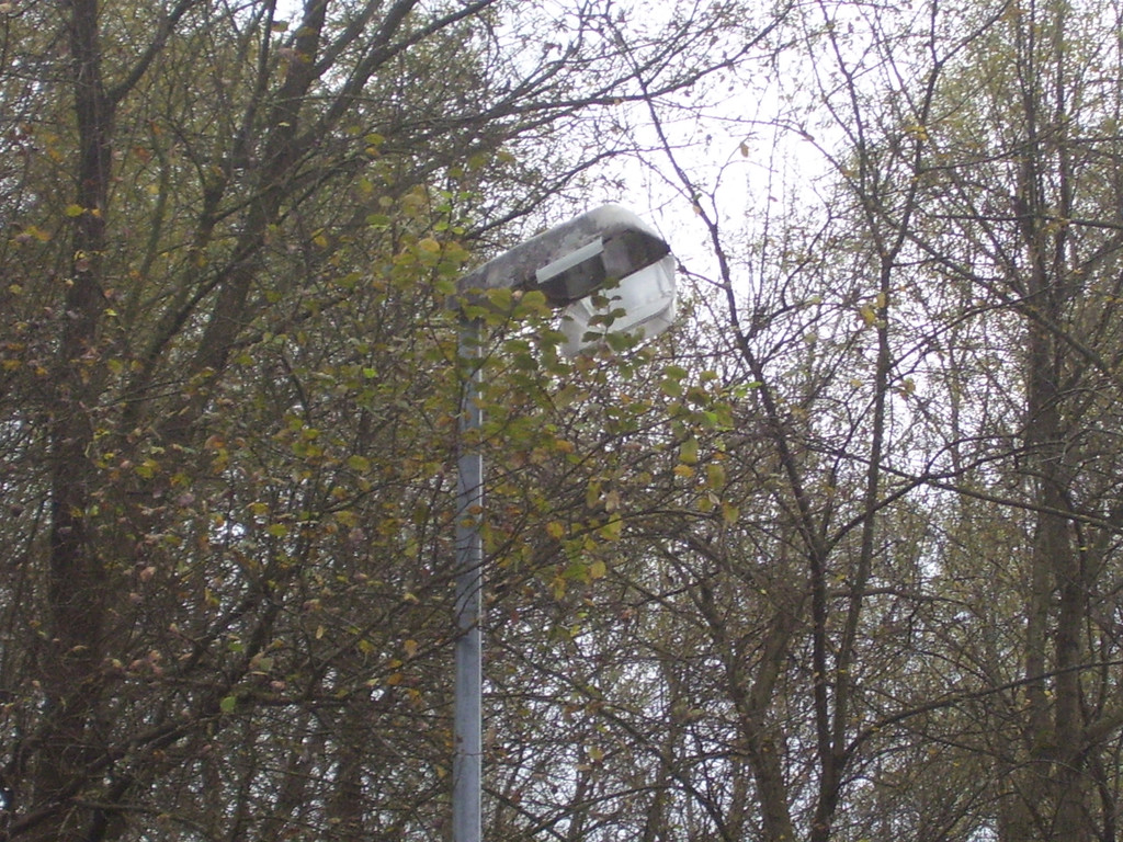 November 4 050_jpg-1289831272