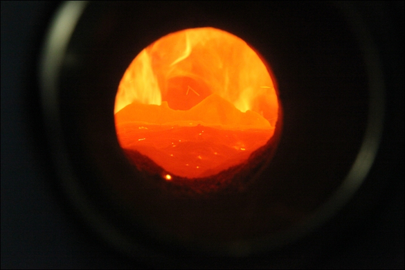 koe_biow__rme _12_.jpg