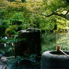 db_1_JAPANISCHE_GARTENKUNST_1.jpg