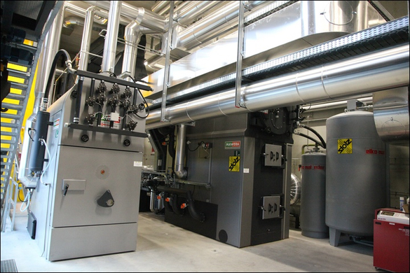 koe_biow__rme _53_.jpg